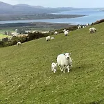 Skellig Bay