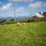 Skellig Bay * Waterville