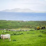 Skellig Bay Vila