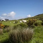 Skellig Bay *