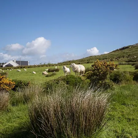 Skellig Bay *