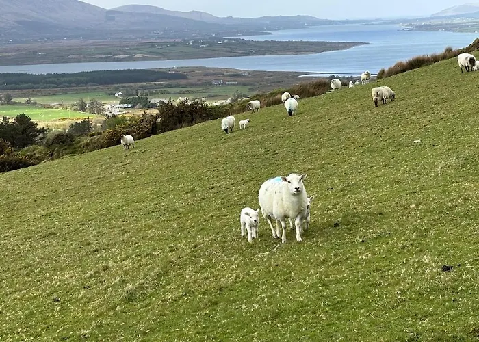Skellig Bay