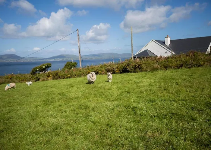 Skellig Bay * An Coireán