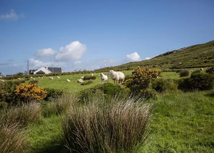 Skellig Bay *